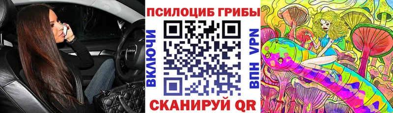 Галлюциногенные грибы мицелий  Купить где  Малаховка 