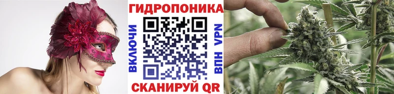 МАРИХУАНА THC 21%  Купить где  Малаховка 